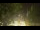 Webcam in Callisburg, Texas, 273 km