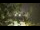 Webcam in Callisburg, Texas, 80.3 mi away