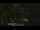 Webcam in Callisburg, Texas, 224 km