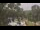 Webcam in Callisburg, Texas, 98.7 km