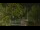 Webcam in Callisburg, Texas, 177.1 km entfernt