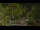 Webcam in Callisburg, Texas, 51.3 mi away
