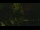 Webcam in Callisburg, Texas, 31.8 mi away