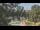 Webcam in Callisburg, Texas, 38.4 km entfernt