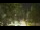 Webcam in Callisburg, Texas, 80.3 mi away