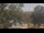 Webcam in Callisburg, Texas, 224 km