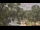 Webcam in Callisburg, Texas, 43.4 mi away