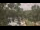 Webcam in Callisburg, Texas, 105.6 mi away