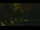 Webcam in Callisburg, Texas, 80.3 mi away
