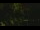 Webcam in Callisburg, Texas, 51.3 mi away