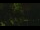 Webcam in Callisburg, Texas, 44.6 mi away
