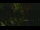 Webcam in Callisburg, Texas, 22.2 mi away