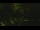 Webcam in Callisburg, Texas, 43.9 mi away