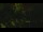 Webcam in Callisburg, Texas, 112.4 km