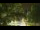Webcam in Callisburg, Texas, 80.3 mi away