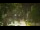 Webcam in Callisburg, Texas, 73.8 mi away