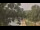 Webcam in Callisburg, Texas, 78 km
