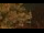 Webcam in Callisburg, Texas, 80.3 mi away