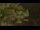Webcam in Callisburg, Texas, 14.9 mi away