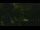 Webcam in Callisburg, Texas, 213.7 km