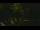 Webcam in Callisburg, Texas, 78.2 km entfernt