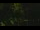 Webcam in Callisburg, Texas, 101.2 km