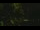 Webcam in Callisburg, Texas, 273 km
