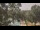 Webcam in Callisburg, Texas, 54.6 mi away