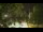Webcam in Callisburg, Texas, 30.1 mi away
