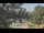 Webcam in Callisburg, Texas, 78.2 km