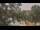 Webcam in Callisburg, Texas, 73.8 mi away