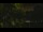 Webcam in Callisburg, Texas, 47 mi away