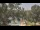 Webcam in Callisburg, Texas, 210.3 km entfernt