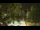 Webcam in Callisburg, Texas, 82.4 km