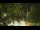 Webcam in Callisburg, Texas, 172.9 mi away