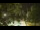Webcam in Callisburg, Texas, 448.2 km