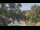 Webcam in Callisburg, Texas, 73.2 km entfernt
