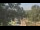 Webcam in Callisburg, Texas, 213.7 km