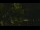Webcam in Callisburg, Texas, 30.1 mi away