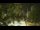 Webcam in Callisburg, Texas, 30.2 mi away