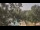 Webcam in Callisburg, Texas, 210.3 km entfernt