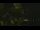 Webcam in Callisburg, Texas, 78 km