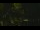 Webcam in Callisburg, Texas, 78 km