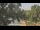 Webcam in Callisburg, Texas, 77.2 km