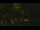 Webcam in Callisburg, Texas, 78.2 km