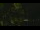 Webcam in Callisburg, Texas, 78.2 km