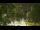 Webcam in Callisburg, Texas, 172.9 mi away