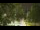 Webcam in Callisburg, Texas, 77.2 km