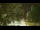 Webcam in Callisburg, Texas, 213.7 km