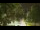 Webcam in Callisburg, Texas, 210.3 km